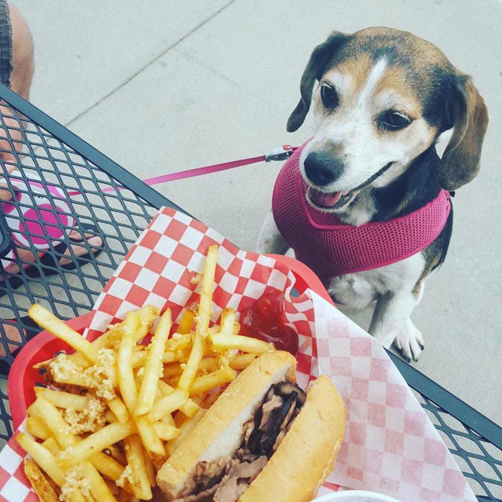 Joes Philly Cheese Steak